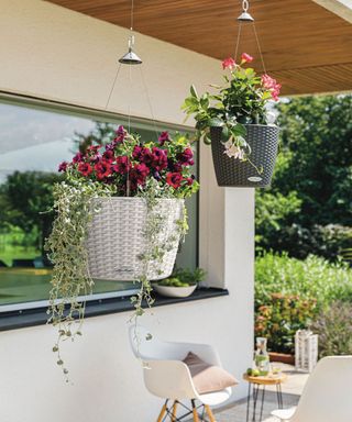 self watering hanging baskets filled with colorful flowers