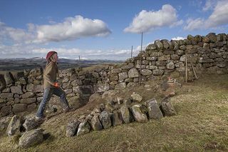 Dry stone wall builder Anthony Gorman ©Richard Cannon / Country Life Picture Library