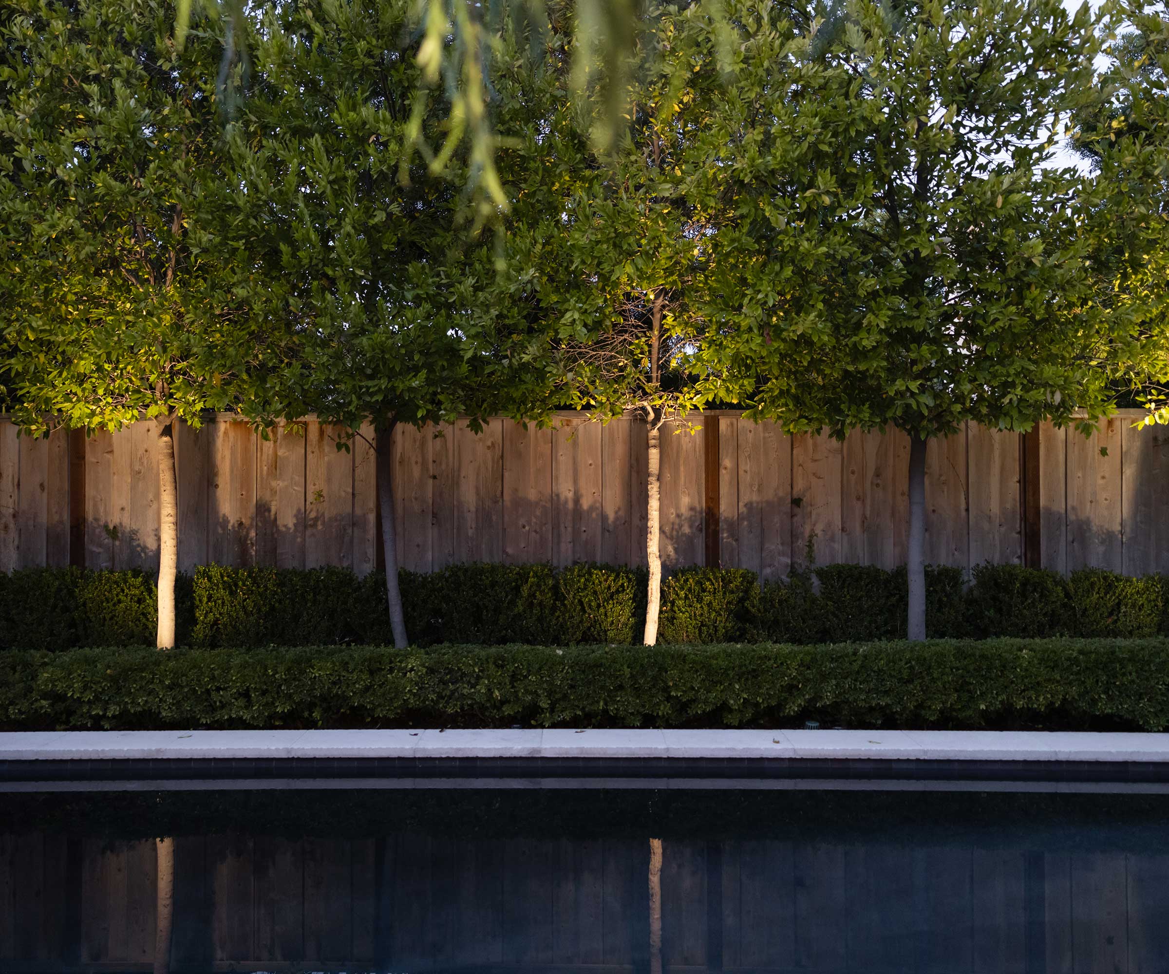 Timeless Retreat project by Garden Studio Design with row of standard trees alongside pool