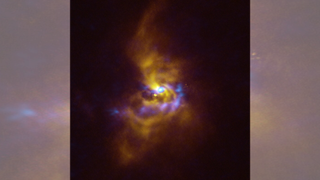 Four spirals of yellow gas swirl around a distant star. At the center, blue blotches reveal where gas is collapsing into new planets
