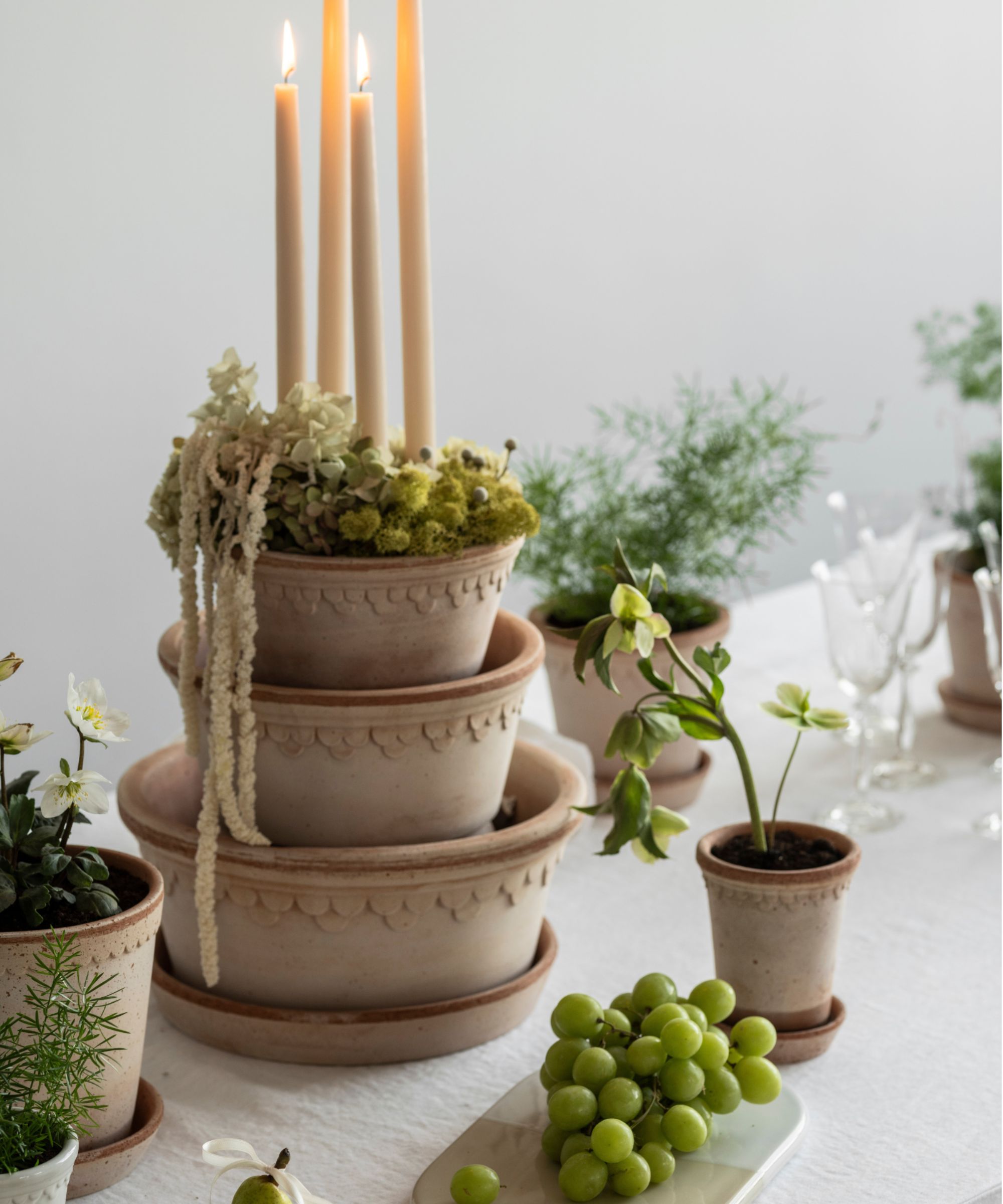 Pot plants and candle display on a table with grapes and greenery