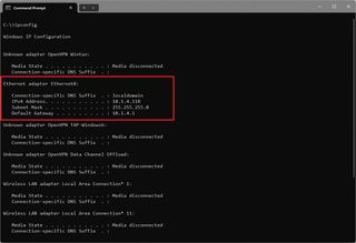 Windows 11 ipconfig command