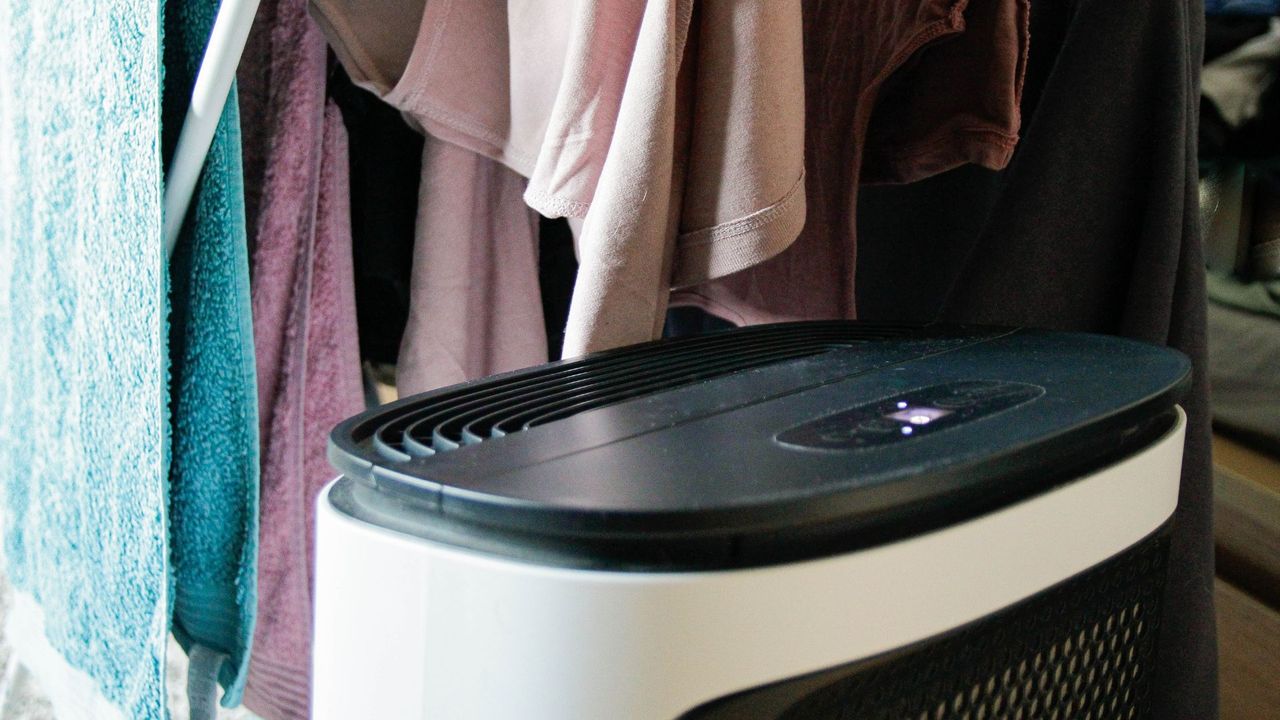 Why is my dehumidifier leaking water? Experts offer advice | Woman & Home