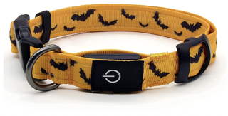 Best Halloween dog collars: azuza Halloween LED Dog Collar