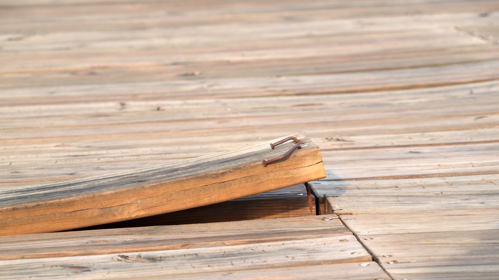 Deck board curling up with rusty nails