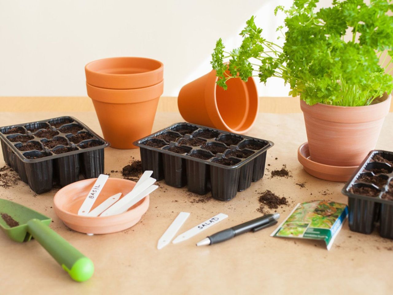 Starting Herbs From Seed: How And When To Start Herb Seeds | Gardening ...