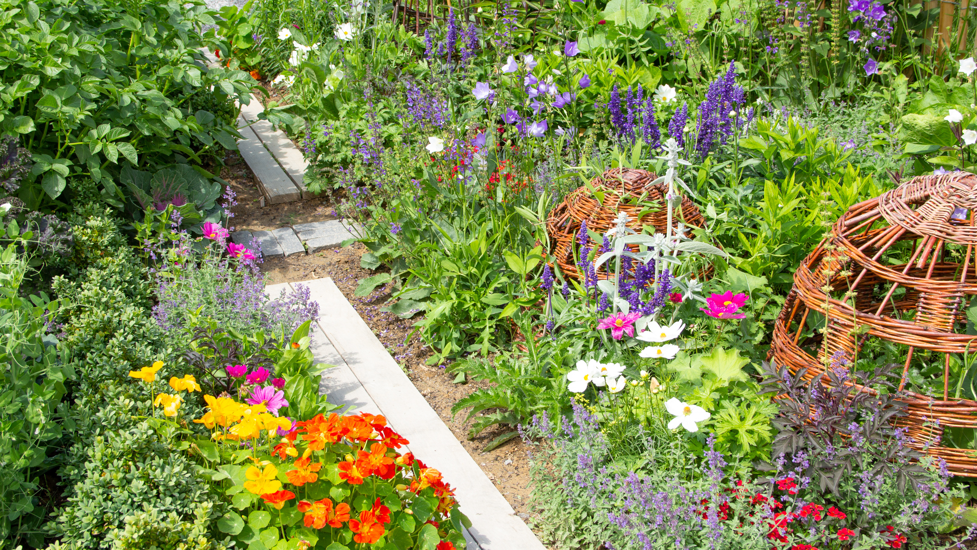 flowers and vegetables in a garden - basieb - GettyImages-1215942217