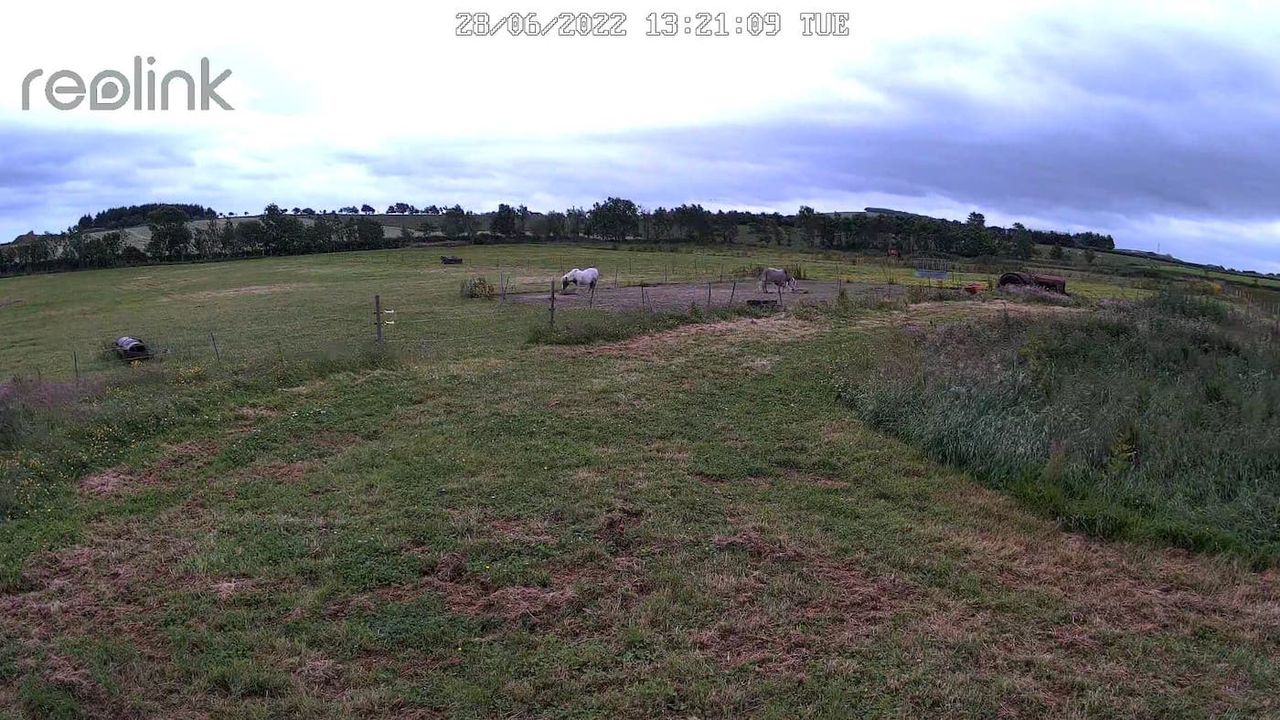 Screenshot from Reolink Go PT Plus