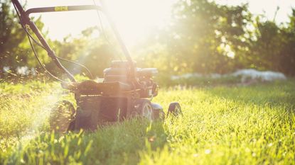 A gardener using a lawn mower on a sunny evening