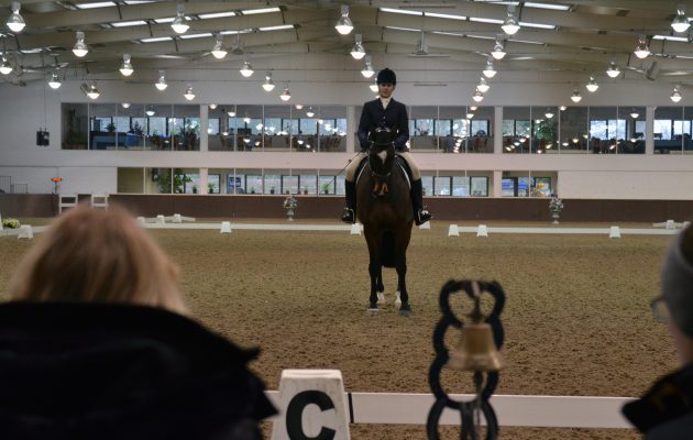 H&amp;amp;H DRESSAGE TRAINING EDRESSAGE NICOLA MCCLURE PRELIM VIDEOS