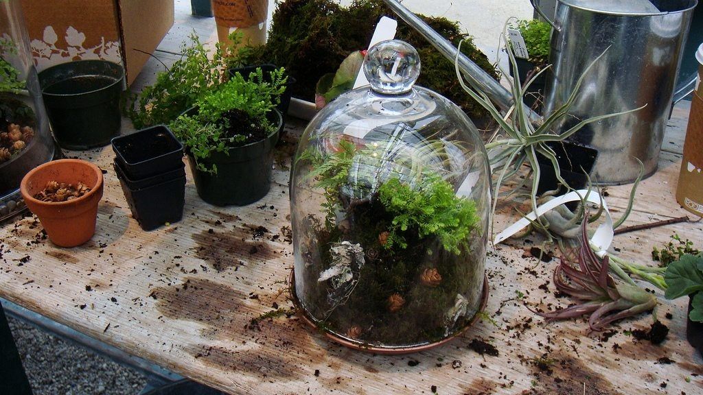 Miniature Landscape Inside A Glass Container