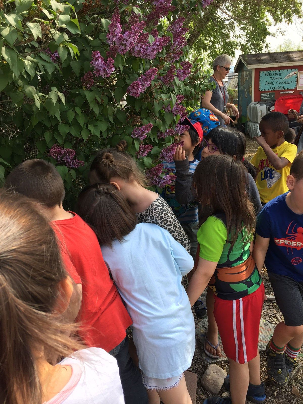 Kids taking time to smell the lilac bushes