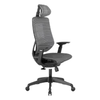 FlexiSpot OC6 Big & Tall