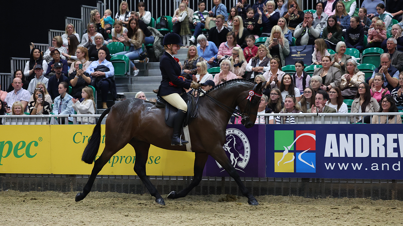 Statement-Intermediate-Show-Riding-Type-of-the-Year-2024.jpg