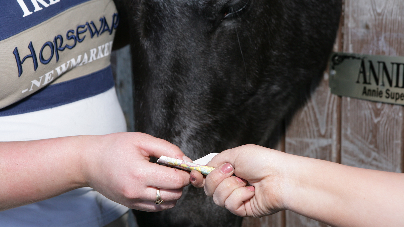 selling a horse