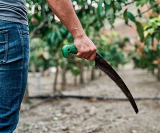 Stretched out arm holding a pruning saw with green handle