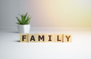 the word family on blocks next to a small plant