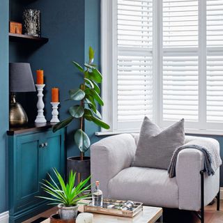 Grey sofa in dark blue painted living room, house plant, white blinds on large windows