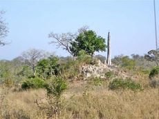 kruger-park-1-02