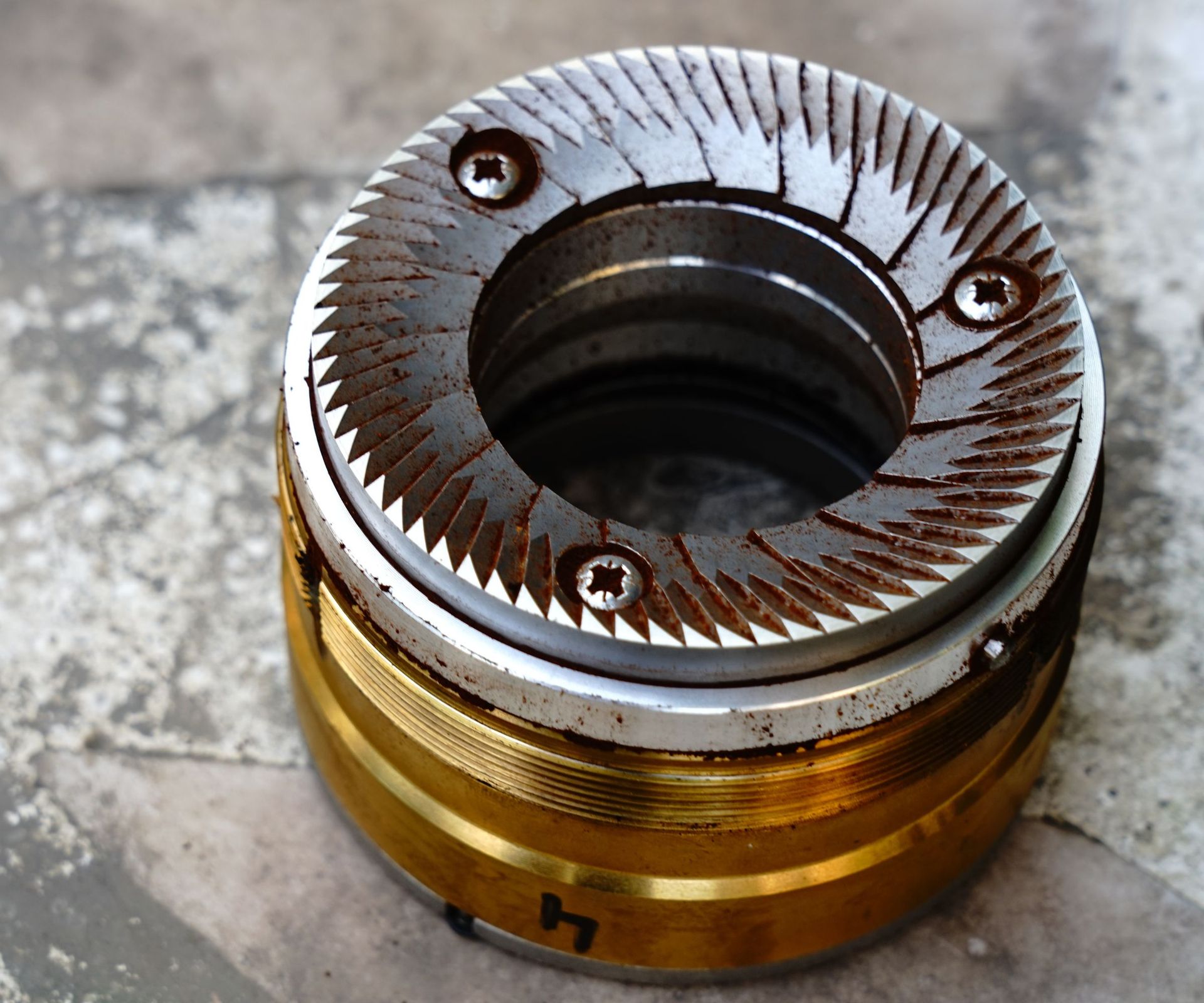 A flat burr coffee grinder interior