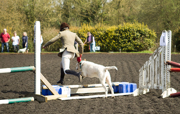 ESRM Horse and Hound Jumping 18-310