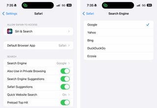 iPhone Search Engine Choices