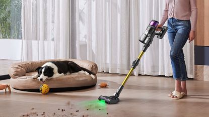 Person wearing jeans and pink shirt vacuuming mess on wooden floor using Ultenic U20, pictured next to black and white dog on dog bed. White curtains and a partial view of outdoors is pictured in background.