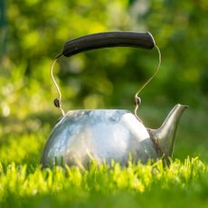 kettle sitting on grass lawn in garden