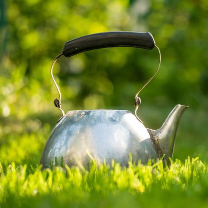 kettle sitting on grass lawn in garden