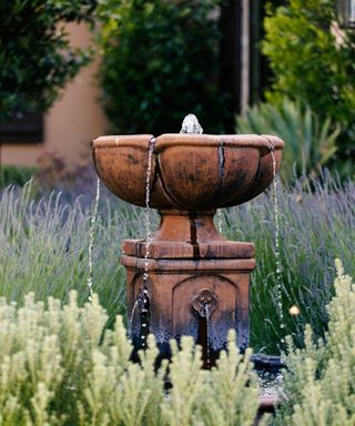 Rustic Italian-style fountain with lavender in background