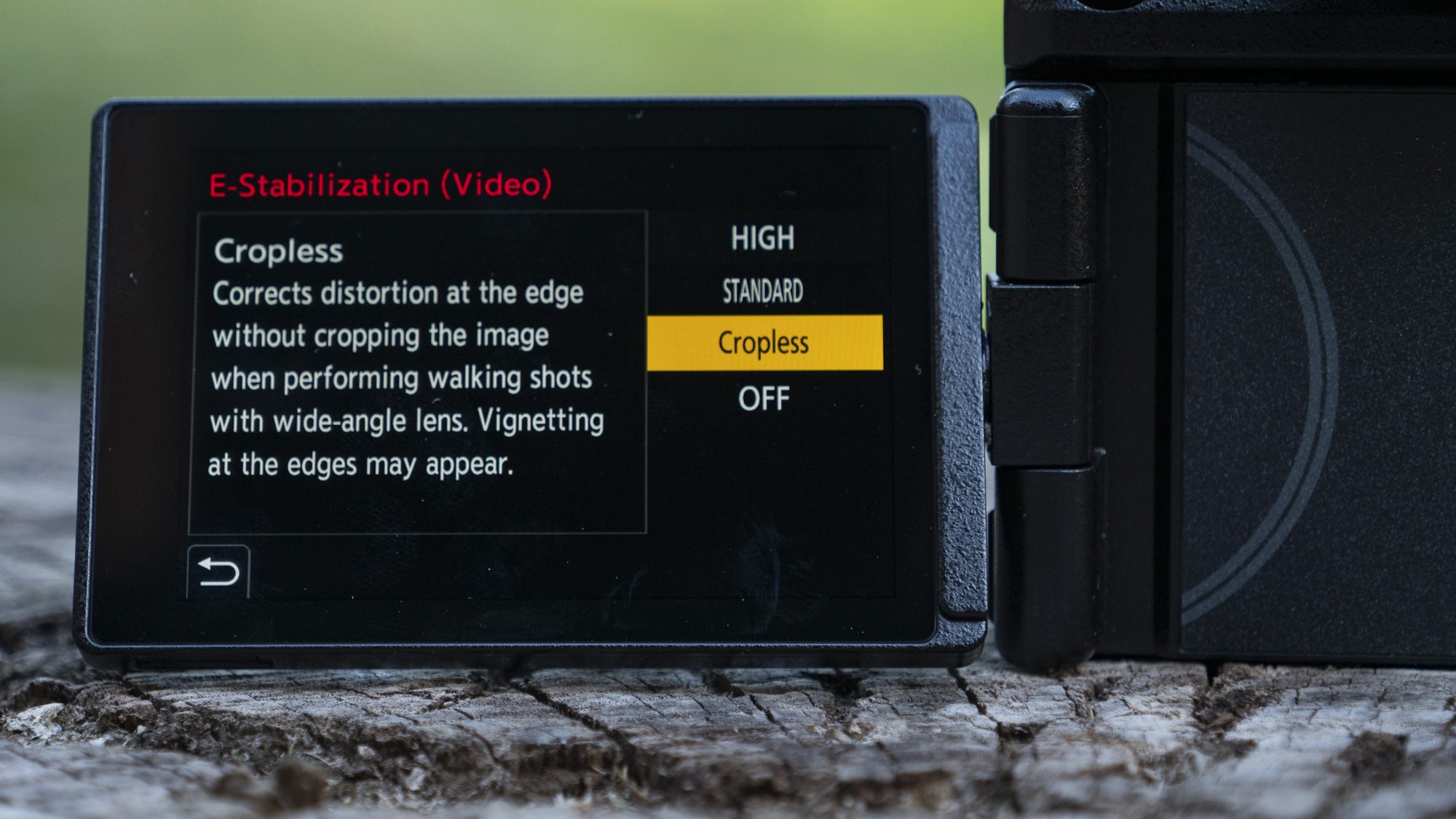 Panasonic Lumix S1 II mirrorless camera's LCD displaying stabilization modes