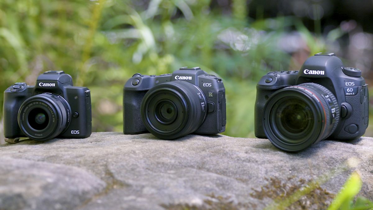 Mirrorless vs DSLR