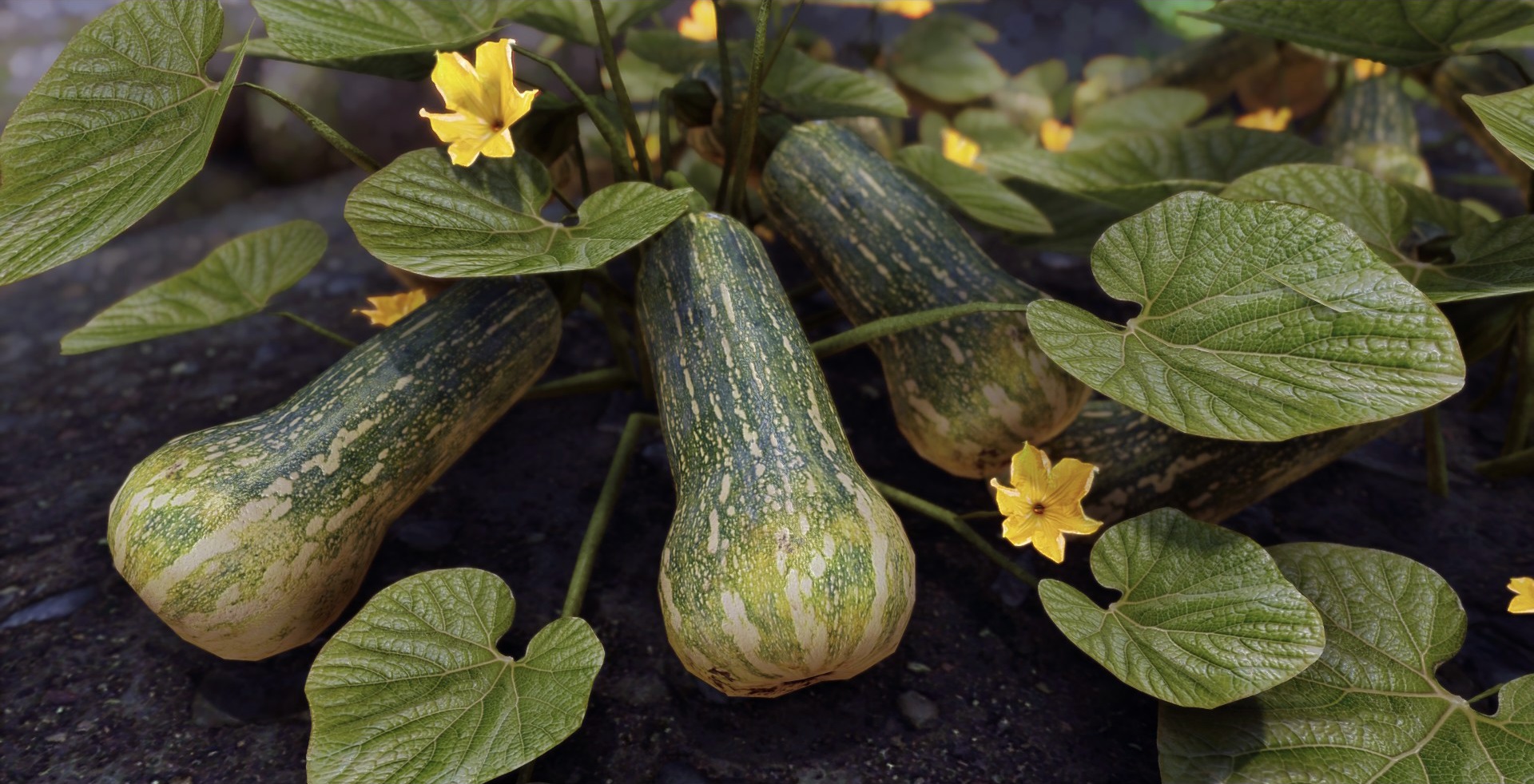 realistic model of a gourd modded into The Elder Scrolls Skyrim