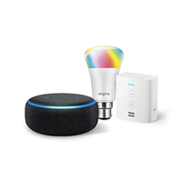Amazon Echo Dot + smart plug