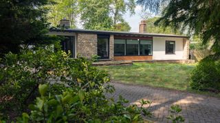 Claire and Paul Franklin's extended bungalow in Studham has mid-century monochrome style