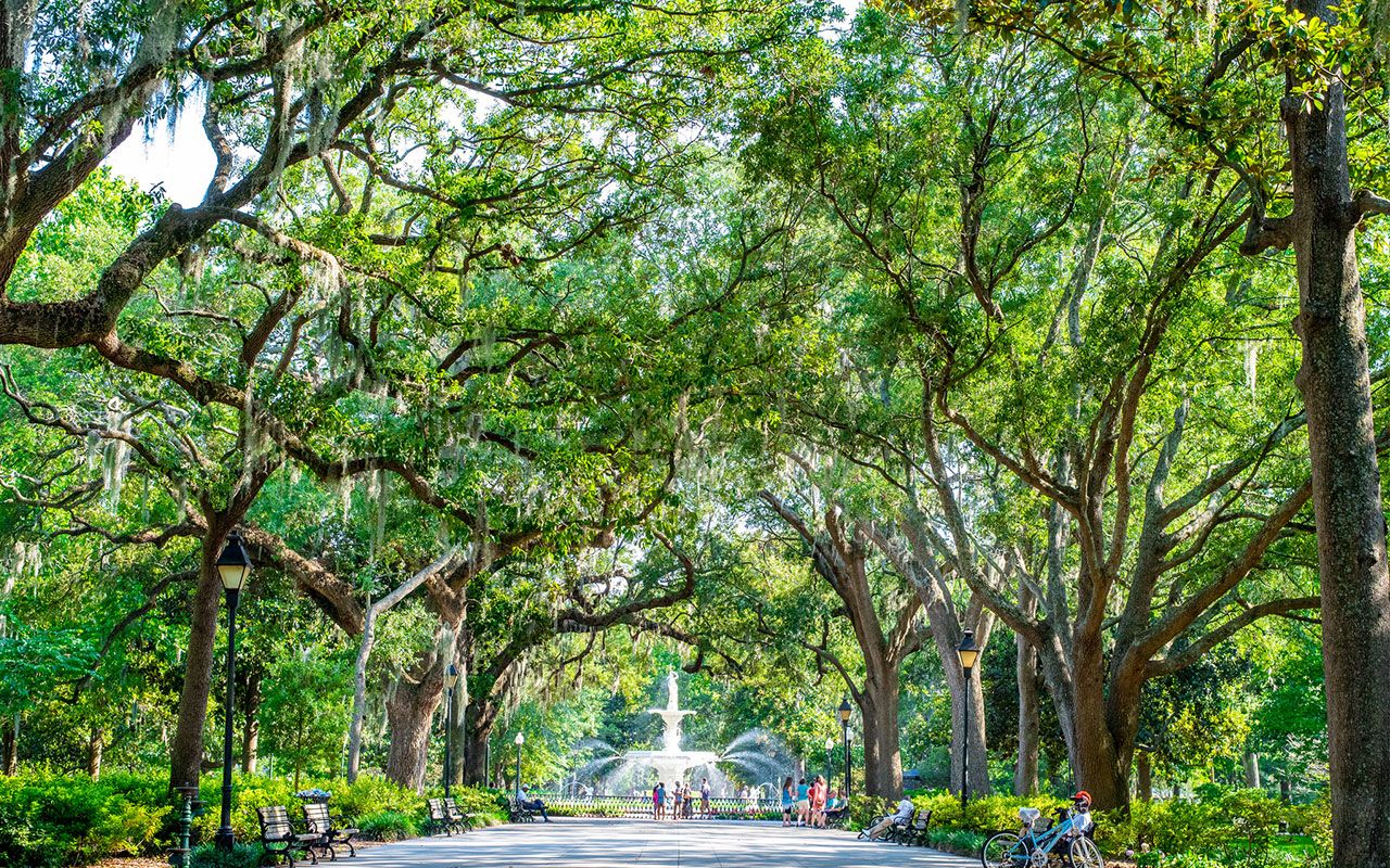 A scenic shot of Savannah, Georgia