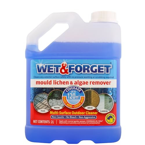 wet and forget patio cleaner