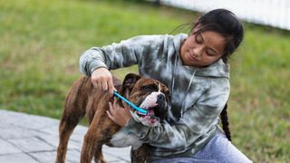 Woman brushing dog's teeth