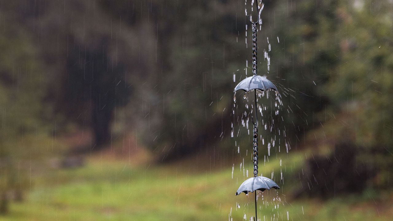 Close up of metal rain chain with umbrella details