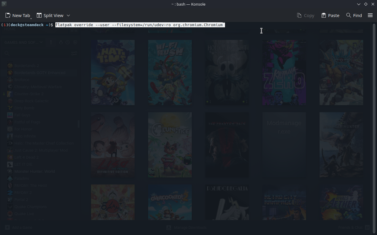 Screenshot of Konsole command used to allow GamePad input in Chromium for the optional DOS_deck experience.