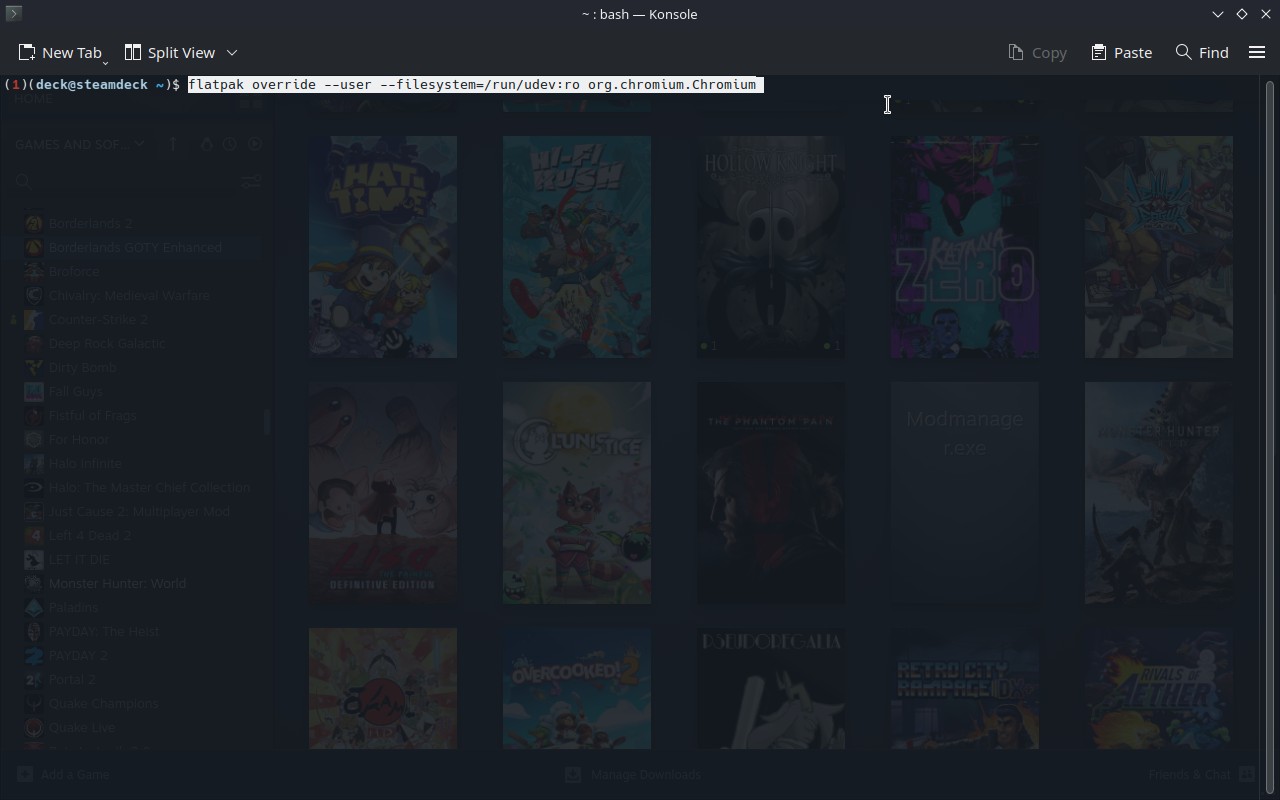 Screenshot of Konsole command used to allow GamePad input in Chromium for the optional DOS_deck experience.