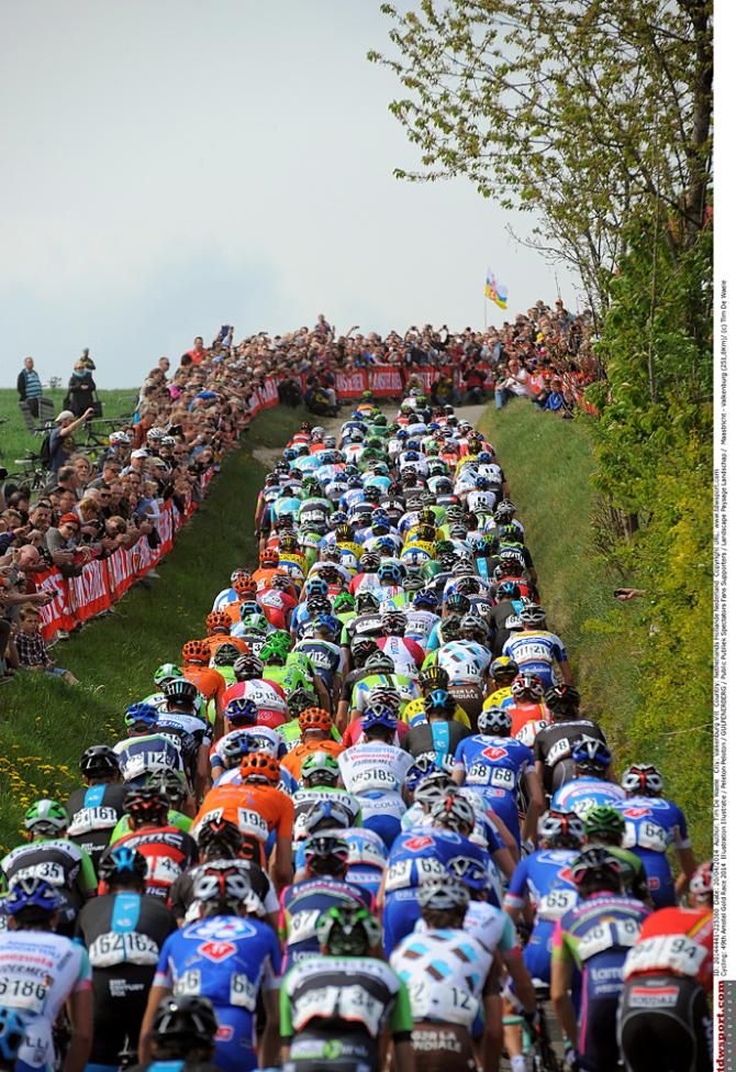 The 2014 Amstel Gold Race