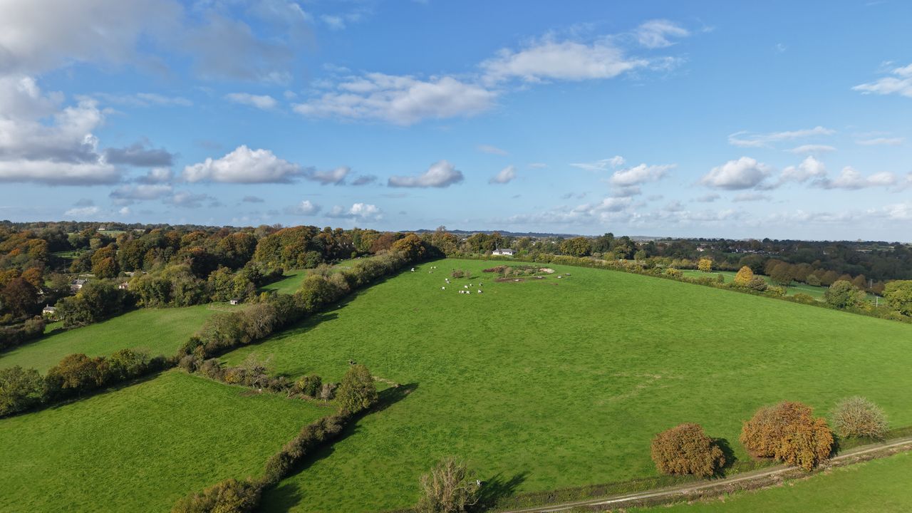 A shot of cows in a distant field, taken with a DJI Air 3S drone