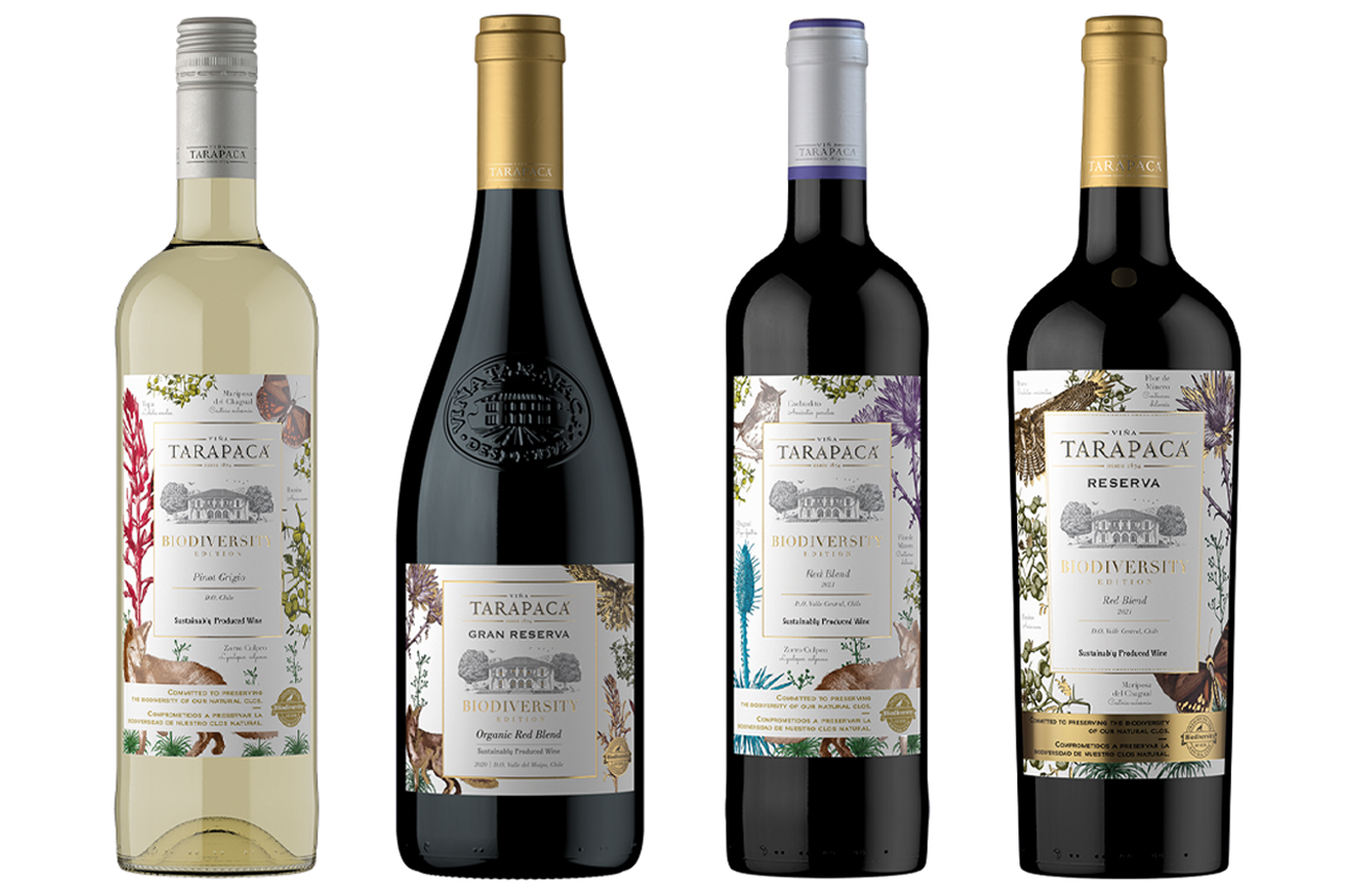 Vi&ntilde;a Tarapac&aacute;