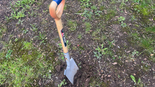 Image of shovel in soil