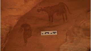 Rock art engravings of cattle found by archaeologists in Sudan.