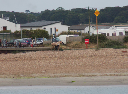 RNLI_HorseandFerryboat