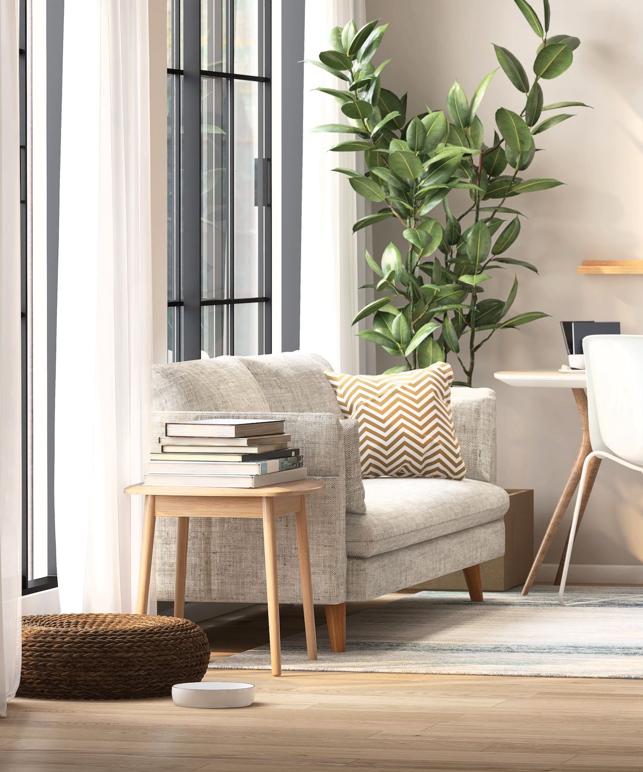 rubber tree in neutral living room