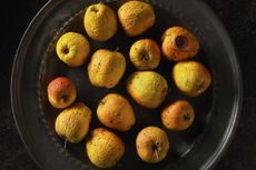 ageing grower champagne