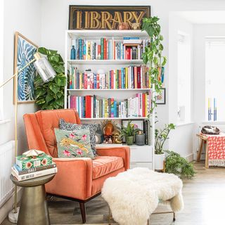library with pillows on orange couch and money plant